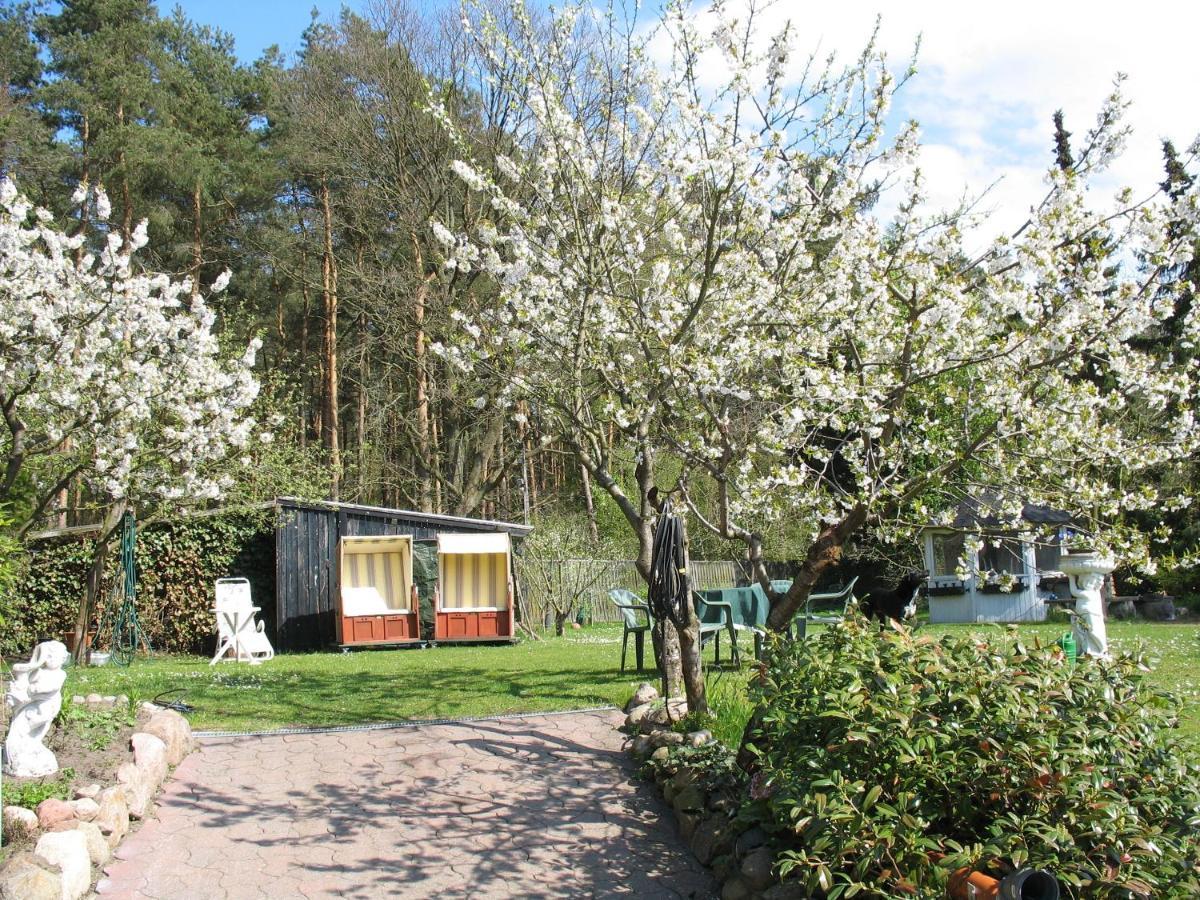 Uni - Luebeck Appartement Gross Gronau Bagian luar foto
